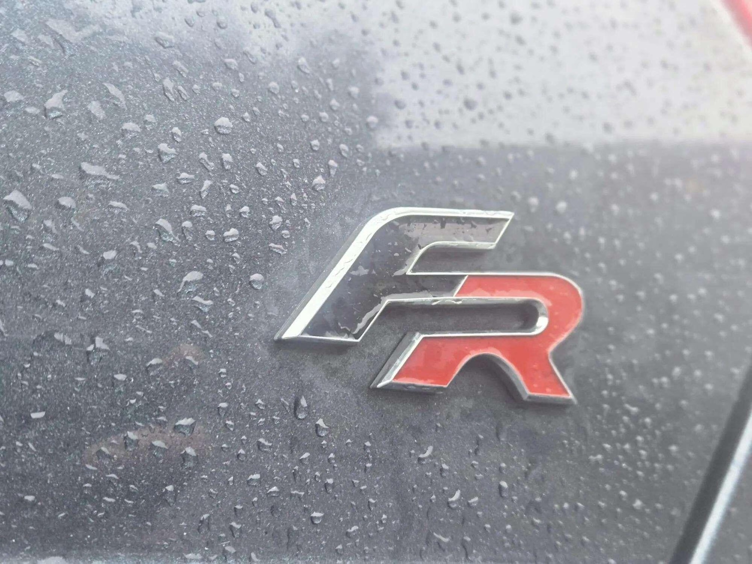 Used SEAT Ibiza 2019 for sale - 76584372: Photo 66