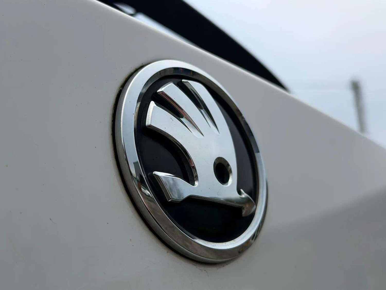 Used Skoda Fabia 2019 for sale - 77040643: Photo 65