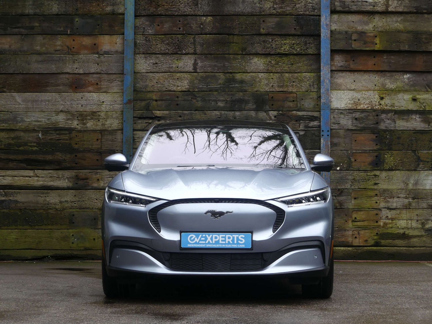 Used Ford Mustang Mach-E 2023 for sale - 77702627: Photo 25