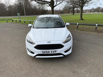Used Ford Focus 2016 for sale - 77611635: Photo
