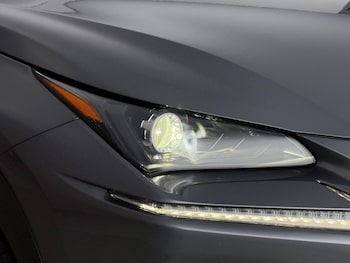 Used Lexus NX 2020 for sale - 78772953: Photo