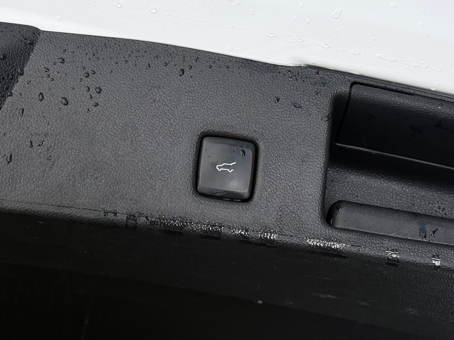 Used Ford Kuga 2024 for sale - 77182854: Photo 11