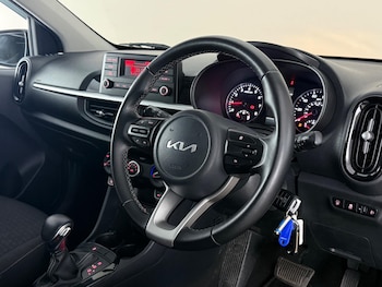 Used Kia Picanto 2022 for sale - 79039562: Photo