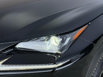 Used Lexus NX 2019 for sale - 79076288: Photo
