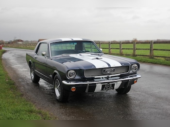 Used Ford Mustang 1966 for sale - 77179703: Photo