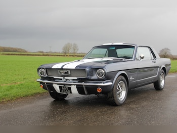 Used Ford Mustang 1966 for sale - 77179703: Photo