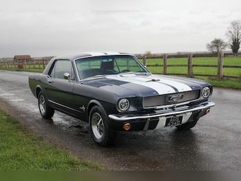 Used Ford Mustang 1966 for sale - 77179703: Photo