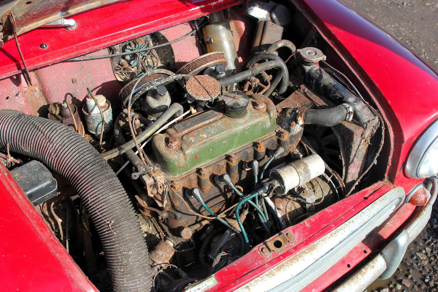 Used Morris Mini 1967 for sale - 77663508: Photo 15