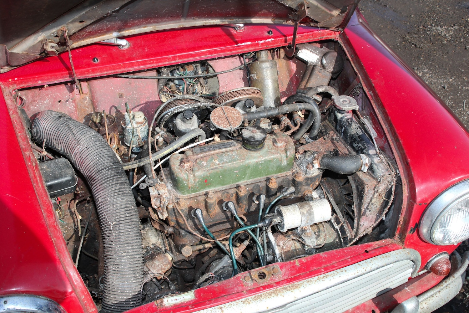 Used Morris Mini 1967 for sale - 77663508: Photo 16