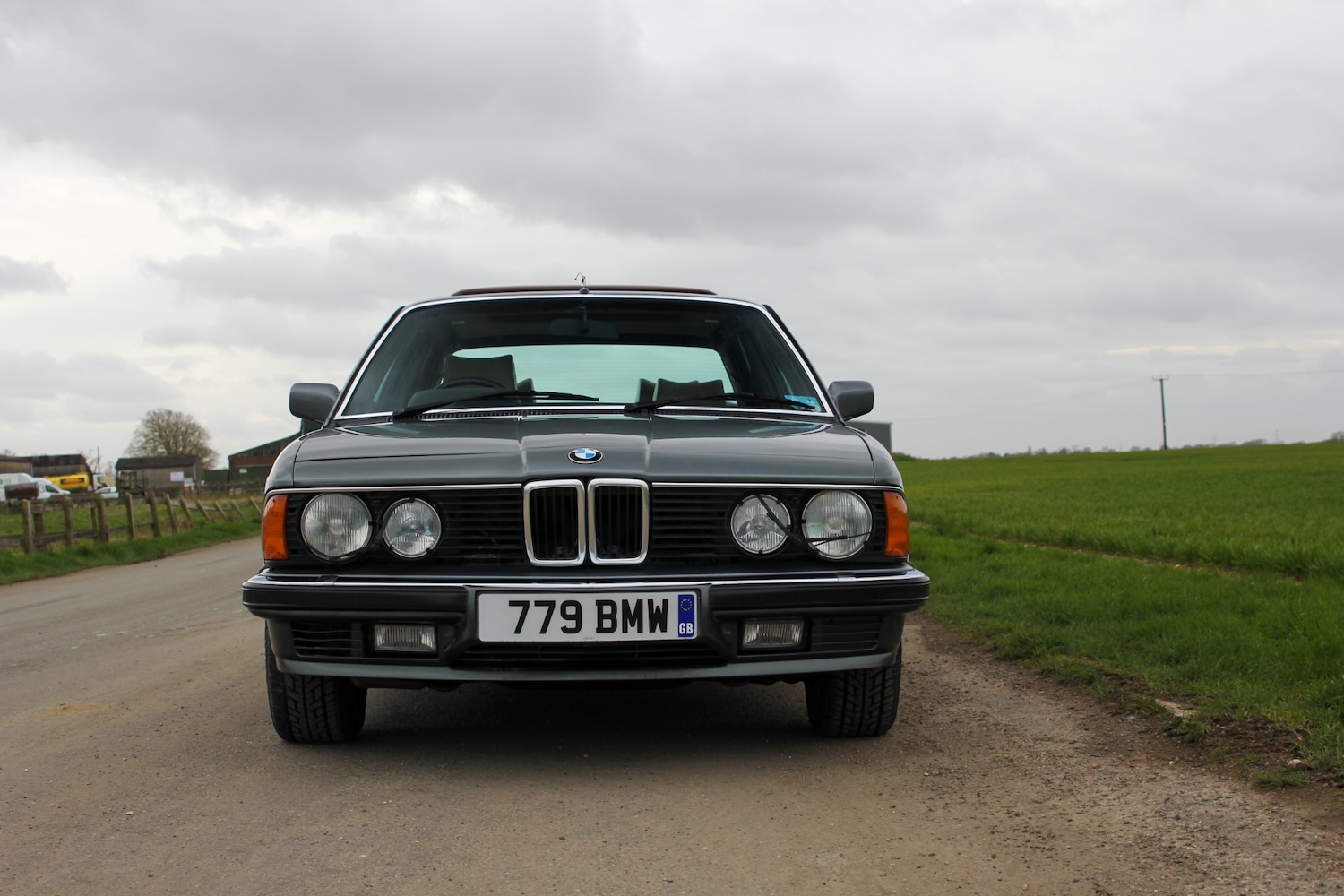 Used BMW 7 Series 1984 for sale - 77917483: Photo 6