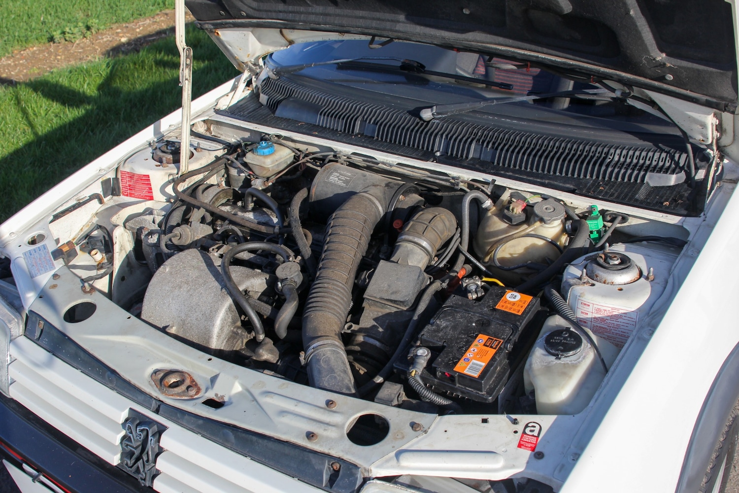 Used Peugeot 205 1989 for sale - 77579619: Photo 22