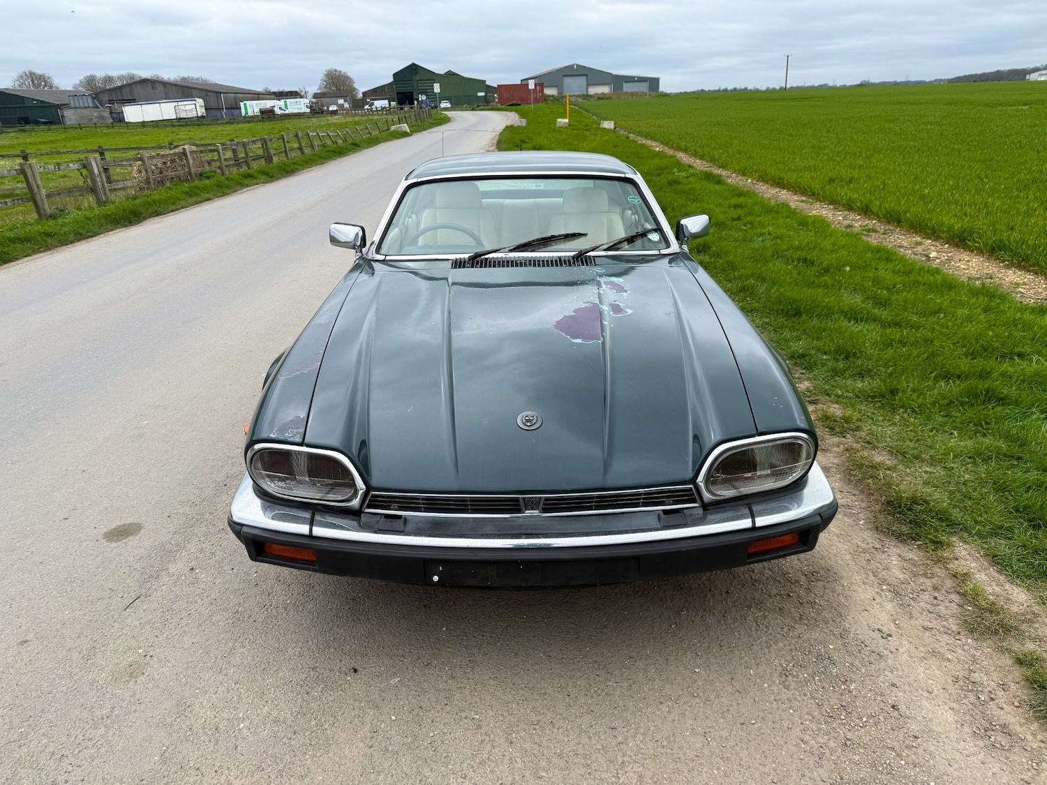 Used Jaguar XJS 1991 for sale - 77998710: Photo 5