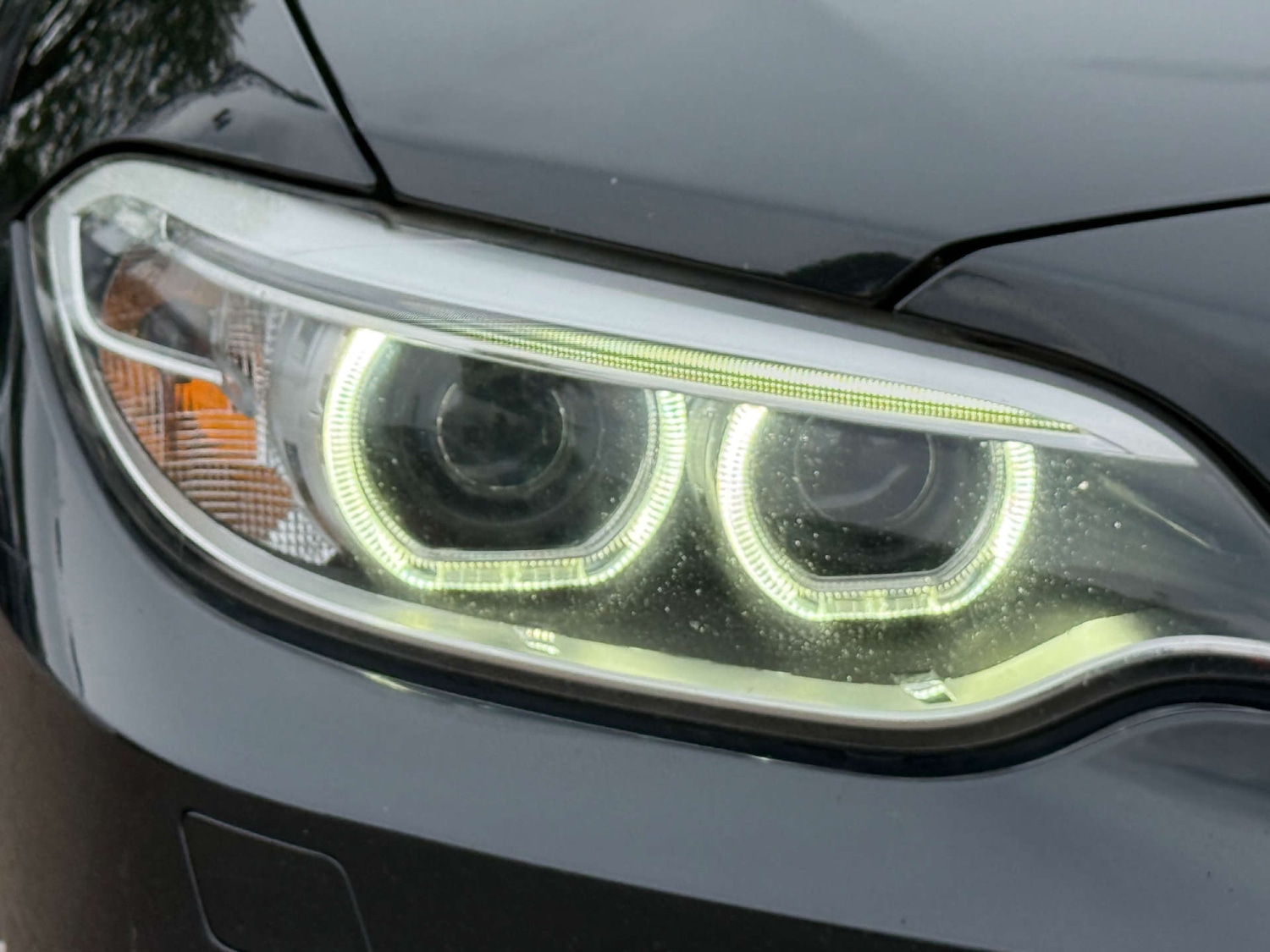 Used BMW 2 Series 2016 for sale - 76602013: Photo 14