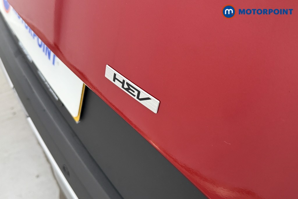 Used Kia Sportage 2024 for sale - 77620269: Photo 31