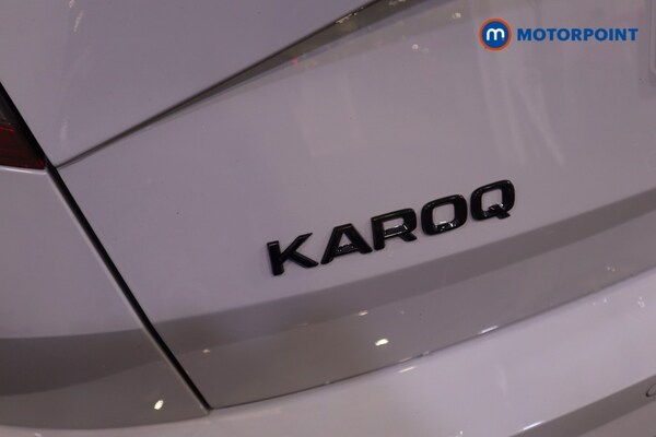 Used Skoda Karoq for sale - 76235039: Photo 40