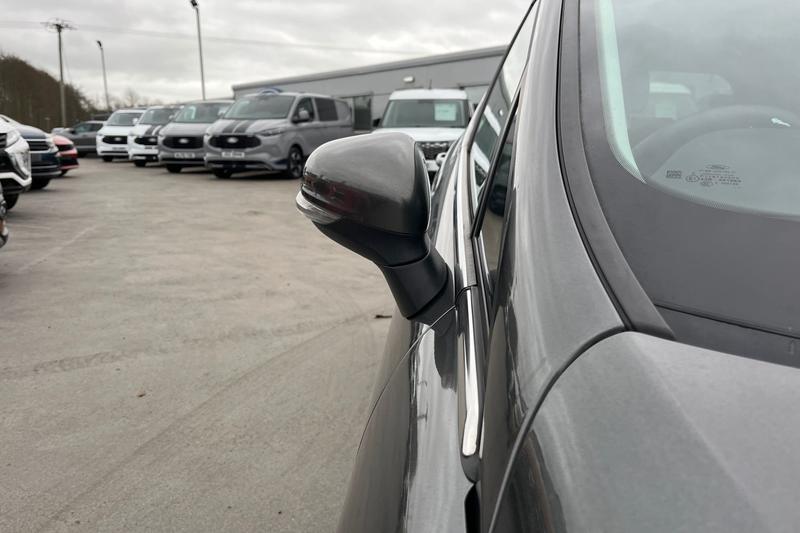 Used Ford Fiesta 2024 for sale - 78095189: Photo 24