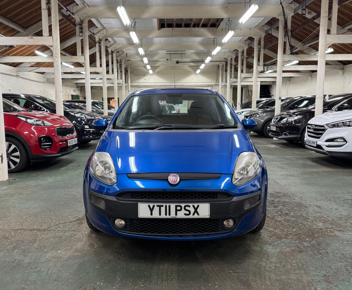 Used Fiat Punto Evo 2011 for sale - 77051637: Photo 3