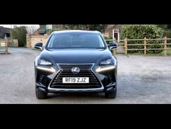 Used Lexus NX 2019 for sale - 74256428: Photo