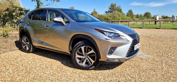 Used Lexus NX 2018 for sale - 76238517: Photo 14