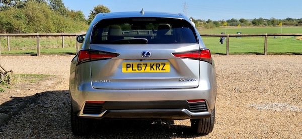 Used Lexus NX 2018 for sale - 76238517: Photo 17