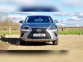 Used Lexus NX 2018 for sale - 77635244: Photo