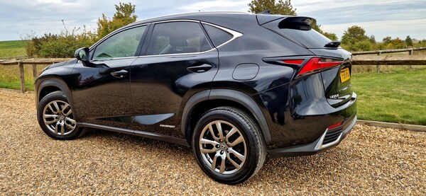 Used Lexus NX 2018 for sale - 76170656: Photo 17