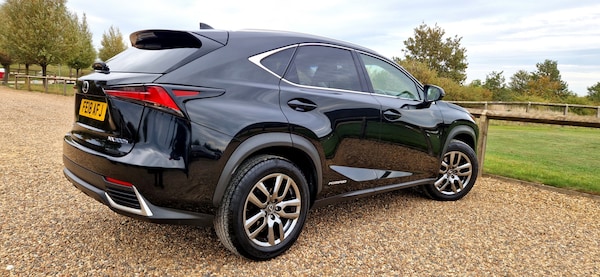 Used Lexus NX 2018 for sale - 76170656: Photo 21