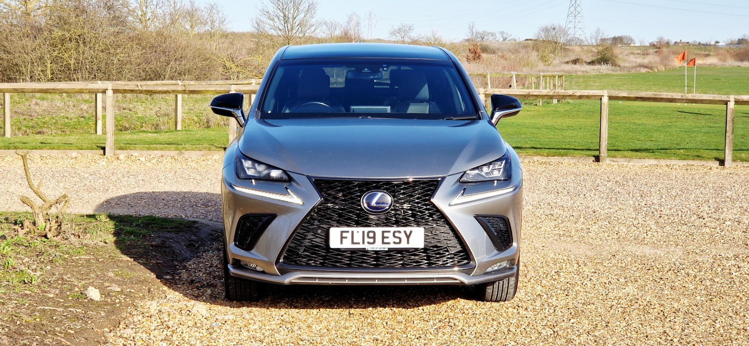 Used Lexus NX 2019 for sale - 77673951: Photo 14