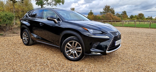 Used Lexus NX 2018 for sale - 76238508: Photo 13