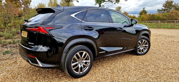 Used Lexus NX 2018 for sale - 76238508: Photo 15