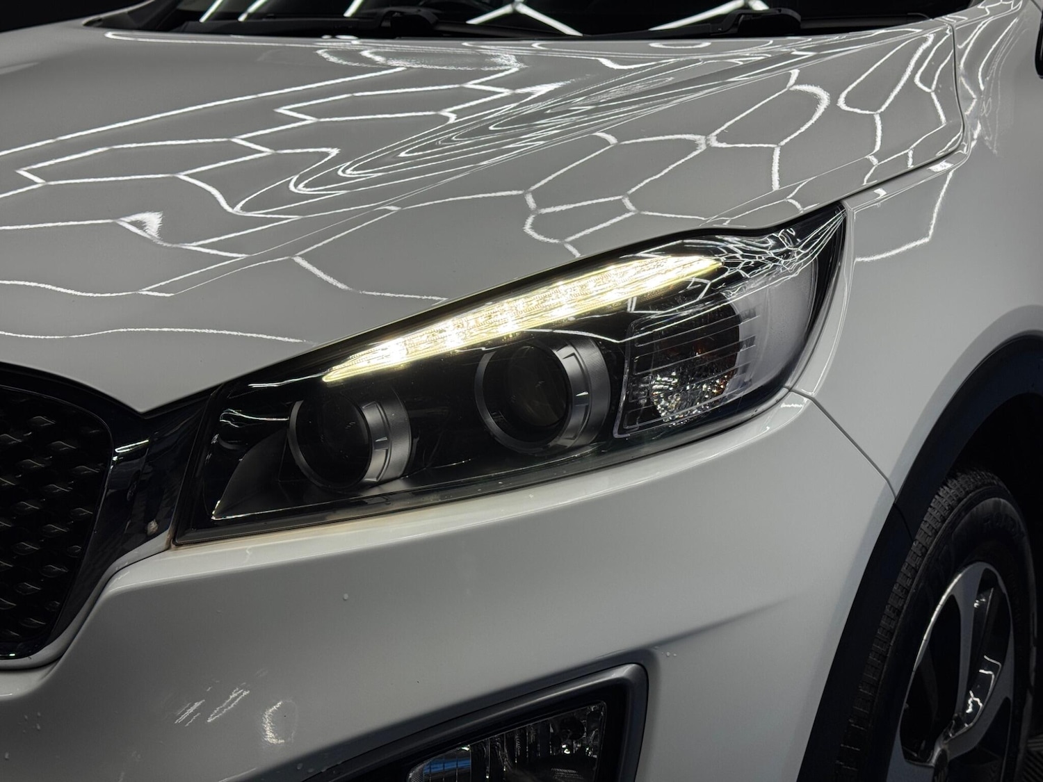 Used Kia Sorento for sale - 77278687: Photo 46