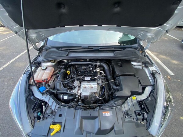 Used Ford Focus 2017 for sale - 75181208: Photo 21
