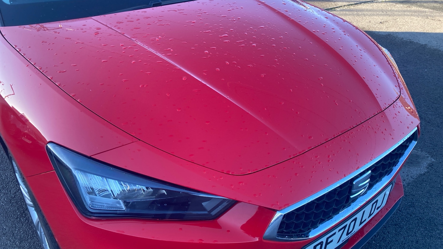 Used SEAT Leon 2021 for sale - 76693218: Photo 8