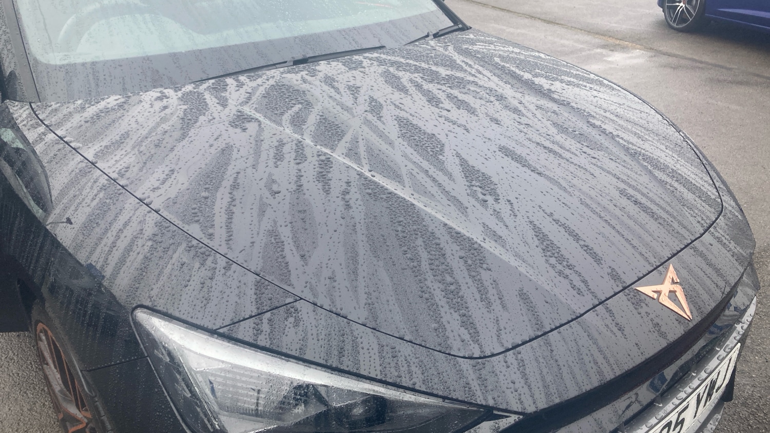 Used Cupra Leon 2025 for sale - 77285436: Photo 8