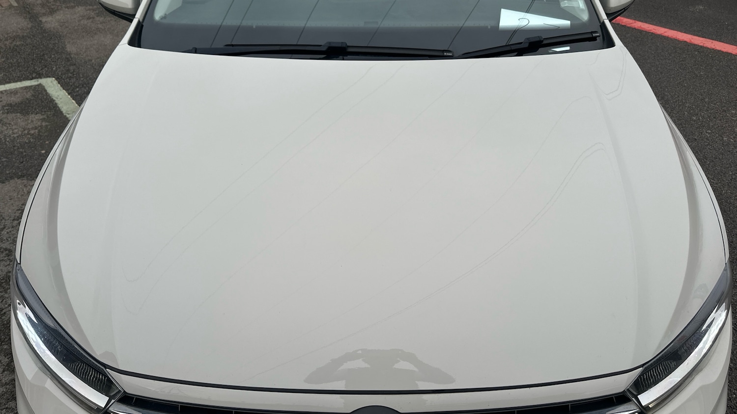 Used Volkswagen Polo 2022 for sale - 76639578: Photo 8