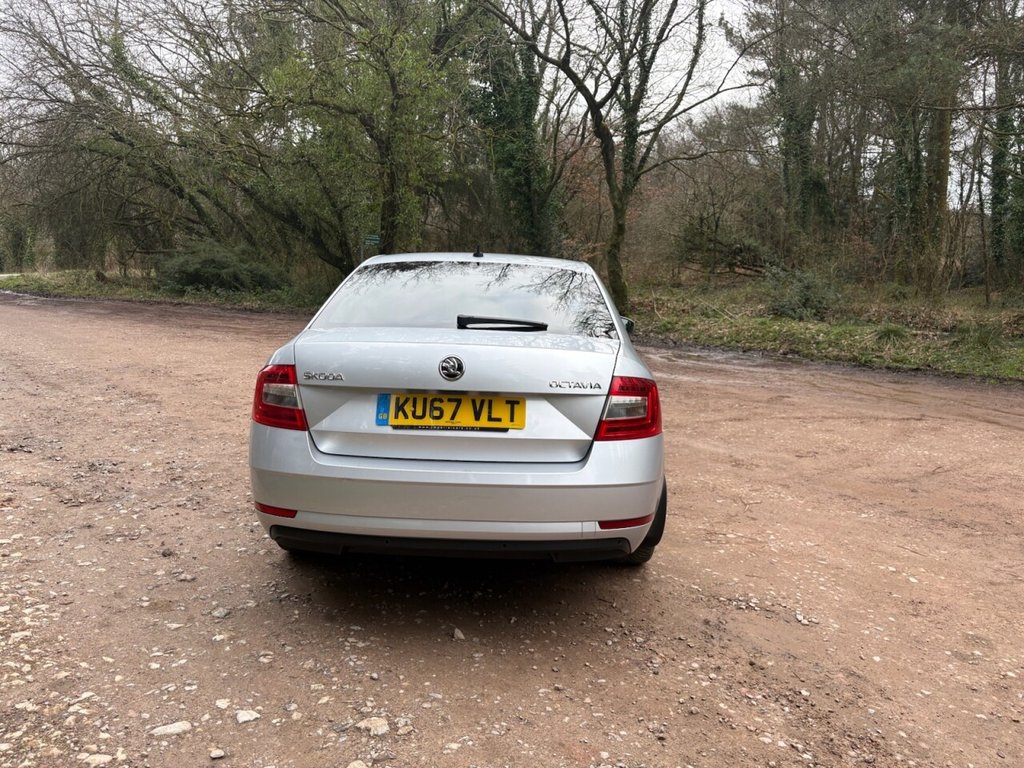 Used Skoda Octavia 2017 for sale - 77734604: Photo 7