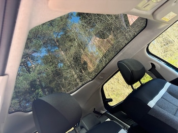 Used Citroen C4 Cactus 2018 for sale - 77936964: Photo