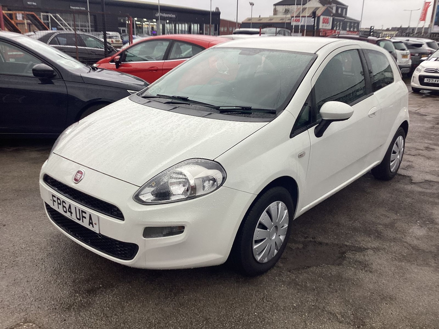 Used Fiat Punto 2014 for sale - 77614598: Photo 3