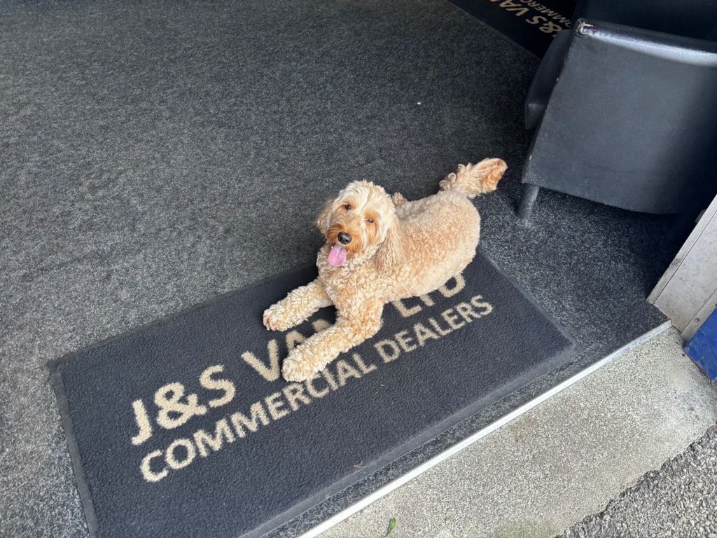 Used Volkswagen Caddy 2021 for sale - 77654743: Photo 11