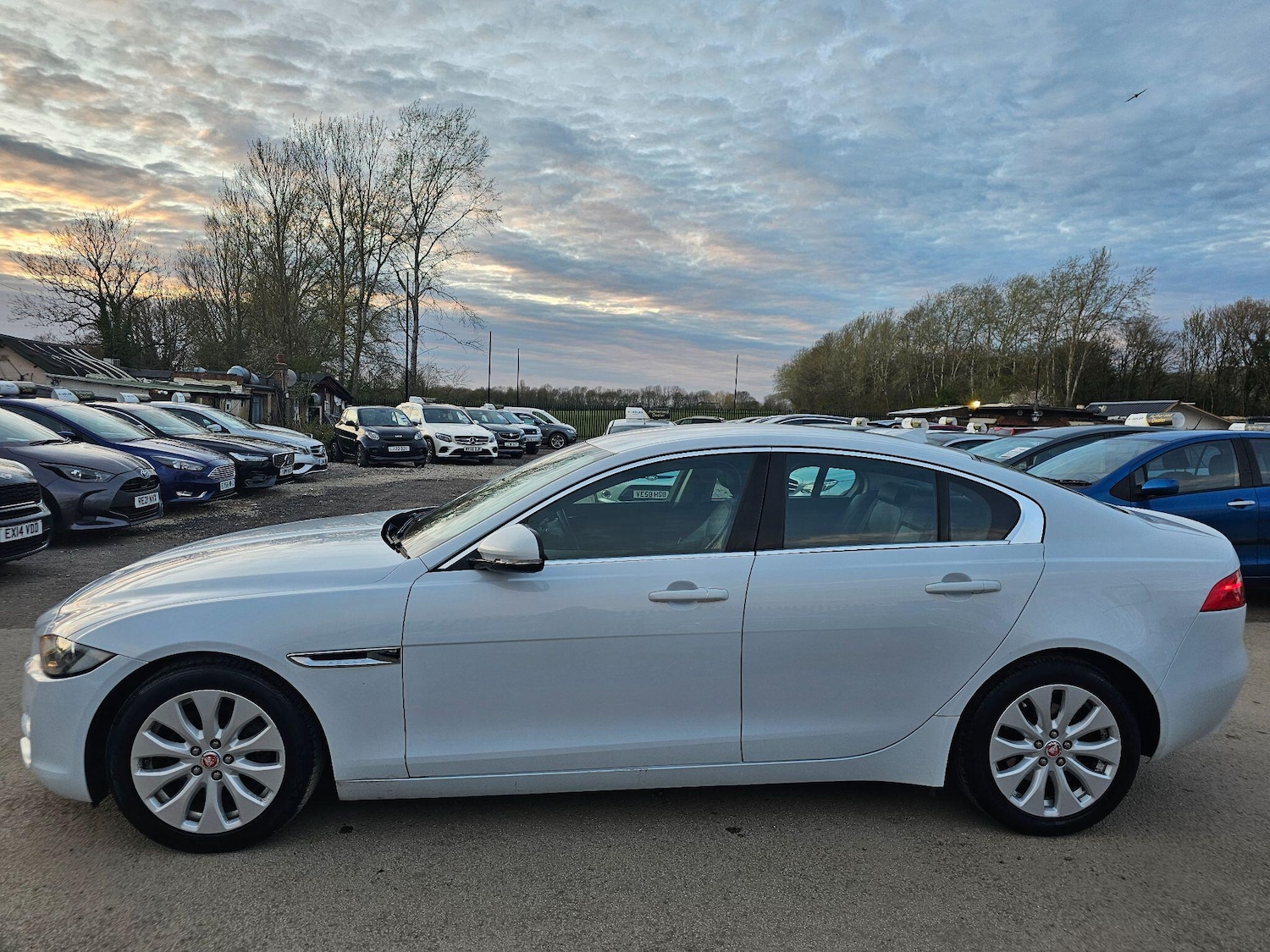 Used Jaguar XE 2016 for sale - 78034540: Photo 12