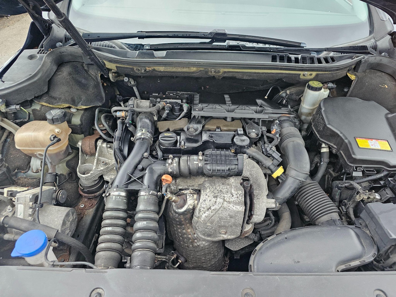 Used Peugeot 508 SW 2013 for sale - 77411336: Photo 29