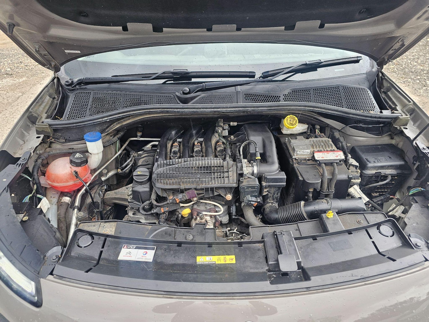 Vehicle 31
