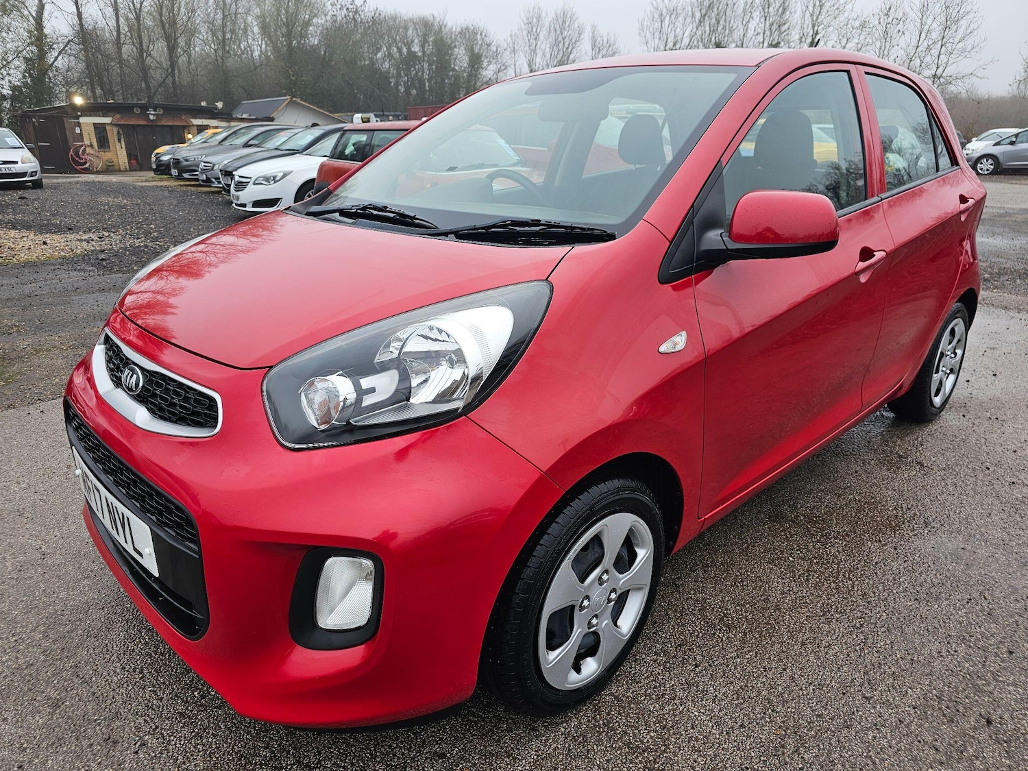 Used Kia Picanto 2017 for sale - 76997223: Photo 3
