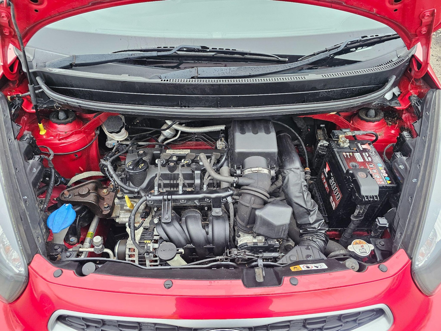 Used Kia Picanto 2017 for sale - 76997223: Photo 31