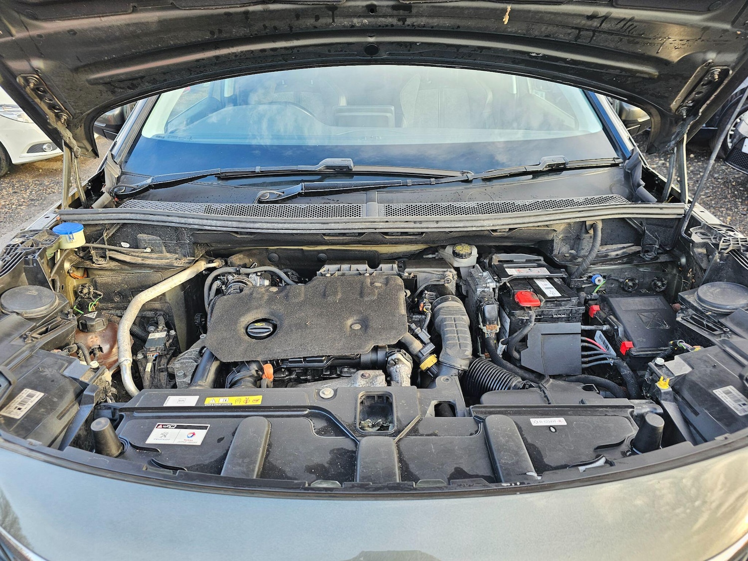 Used Peugeot 5008 2020 for sale - 76801956: Photo 43