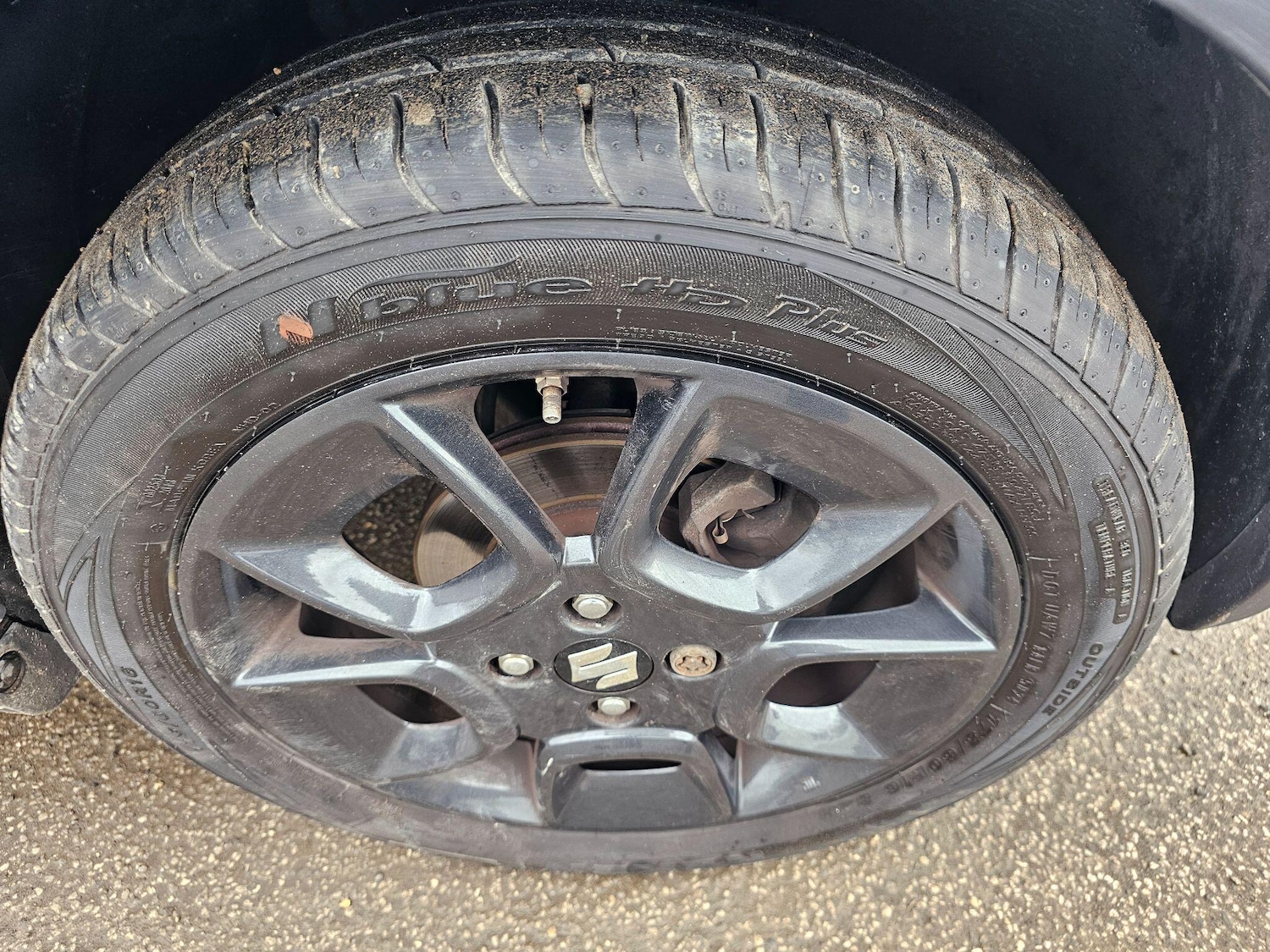 Used Suzuki Ignis for sale - 77704679: Photo 23