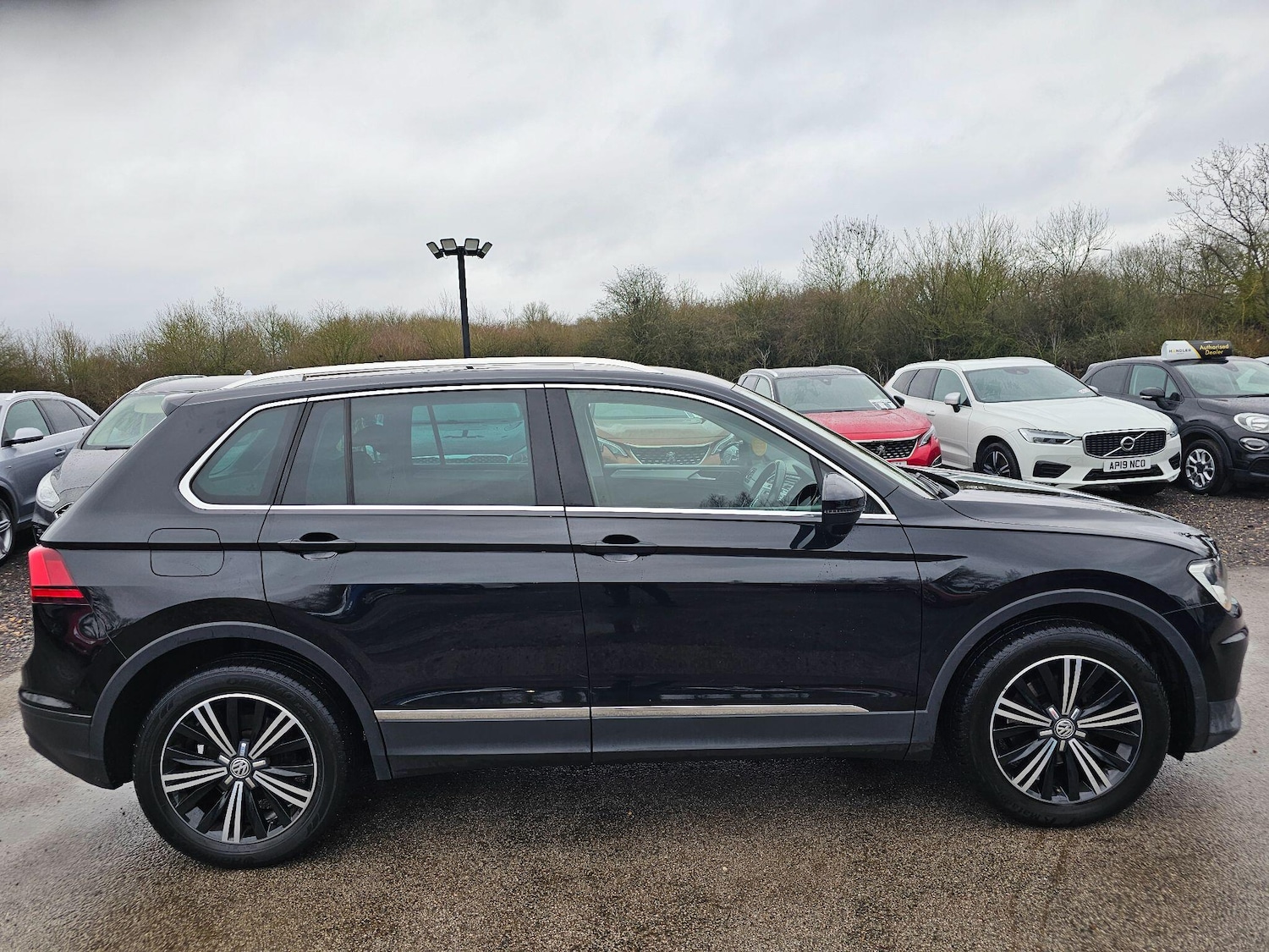 Used Volkswagen Tiguan 2017 for sale - 77143233: Photo 13