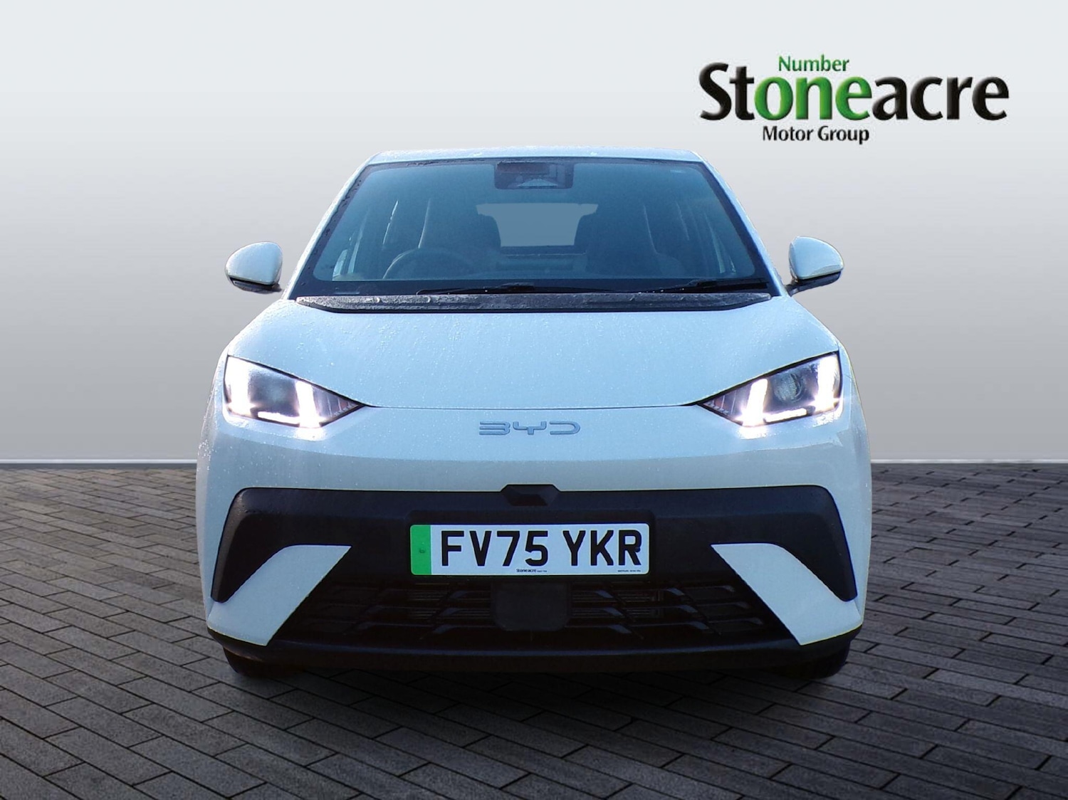 Used BYD Dolphin 2025 for sale - 77238304: Photo 10