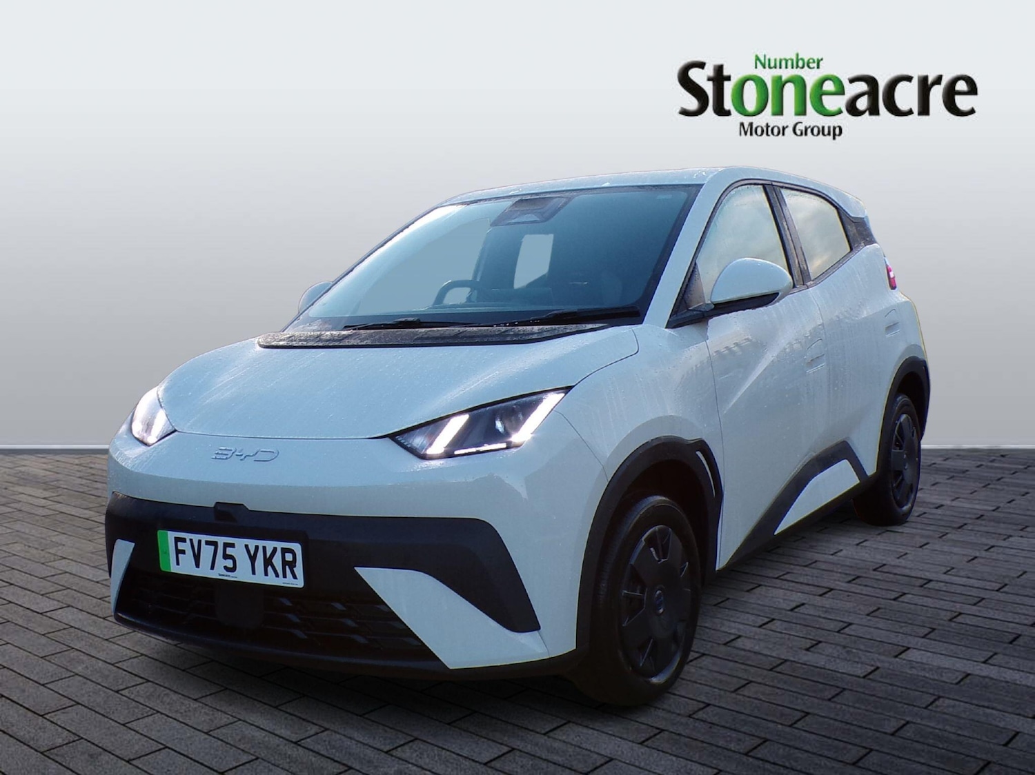 Used BYD Dolphin 2025 for sale - 77238304: Photo 9