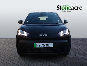 Used BYD Dolphin 2025 for sale - 77497462: Photo